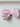 Hamptons Pink Gingham Hair Bow from Timeless Bundles